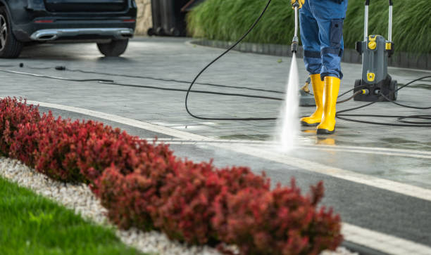 Best Residential Pressure Washing Services  in Manitou Beach Devils Lake, MI