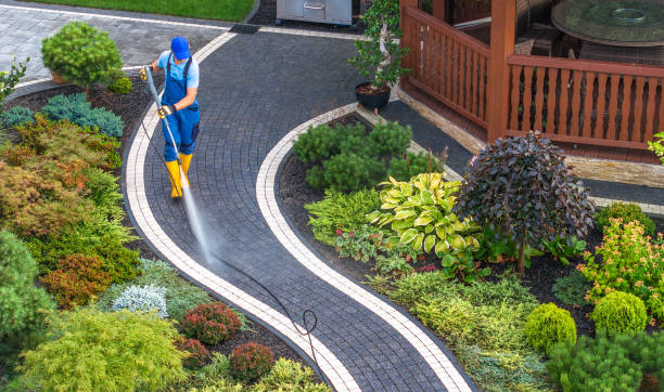 Best Roof Pressure Washing  in Manitou Beach Devils Lake, MI